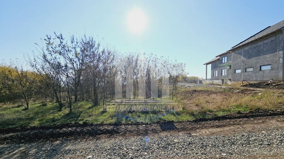 Teren intravilan de vanzare, Podei - Poză 4