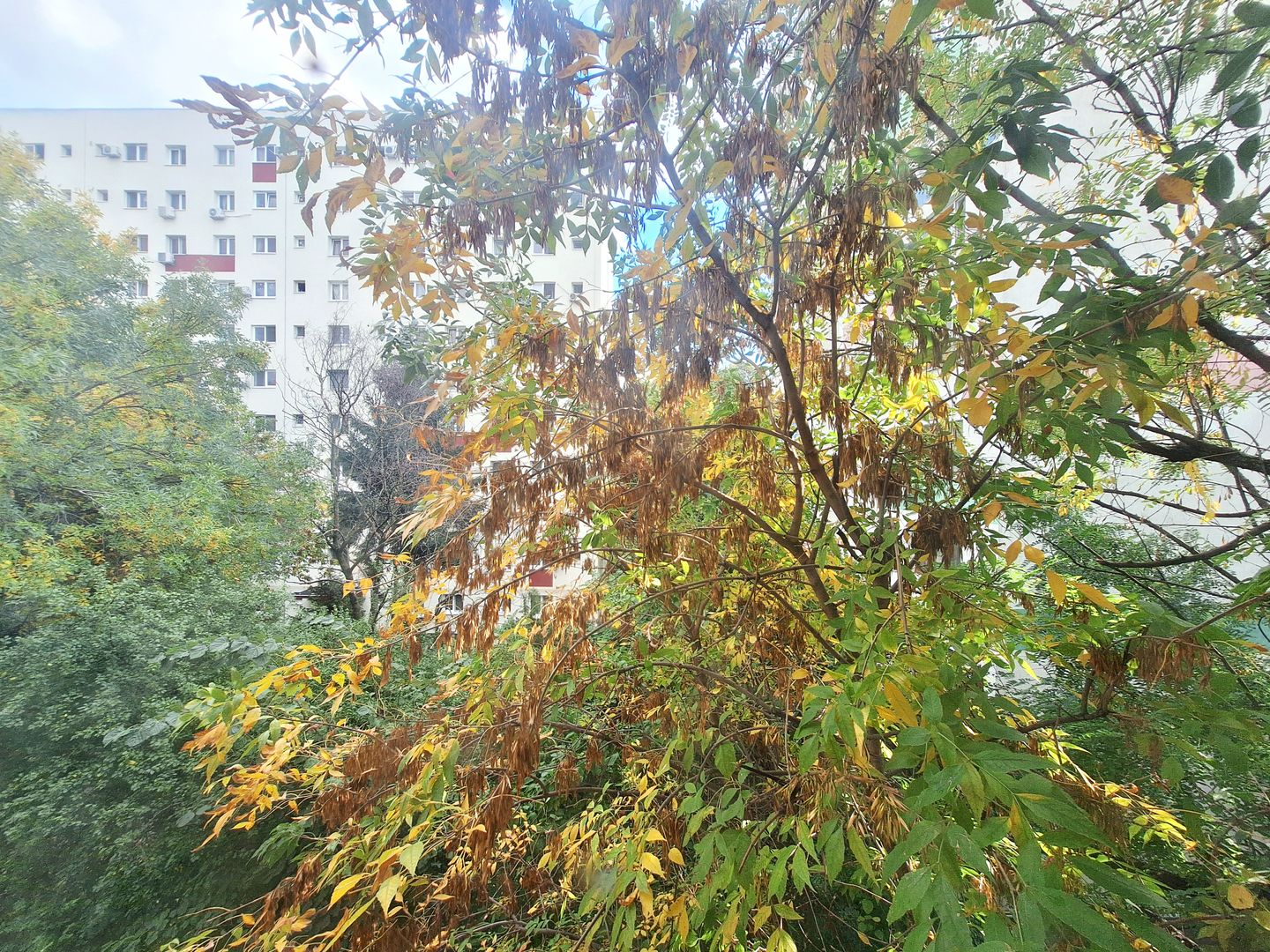 Apartament de inchiriat - Berceni - Emil Racoviță - Poză 9