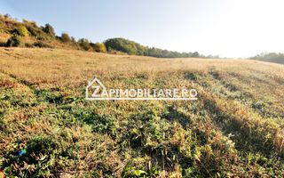Teren 25.000 mp.  Comuna Voiniceni ,12 euro mp.comision ZERO - Poză 4