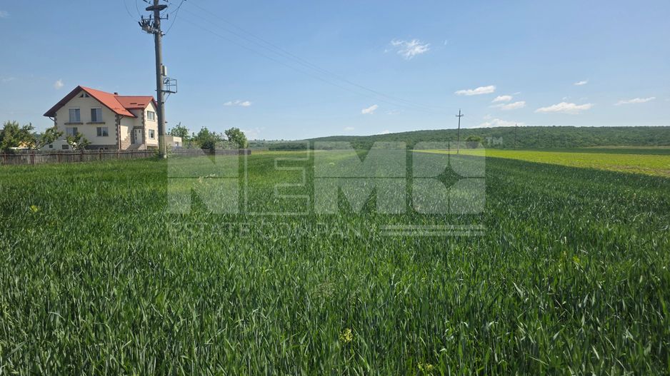 TEREN EXTRAVILAN | MITOCU DRAGOMIRNEI | 2.600 Mp - Poză 2