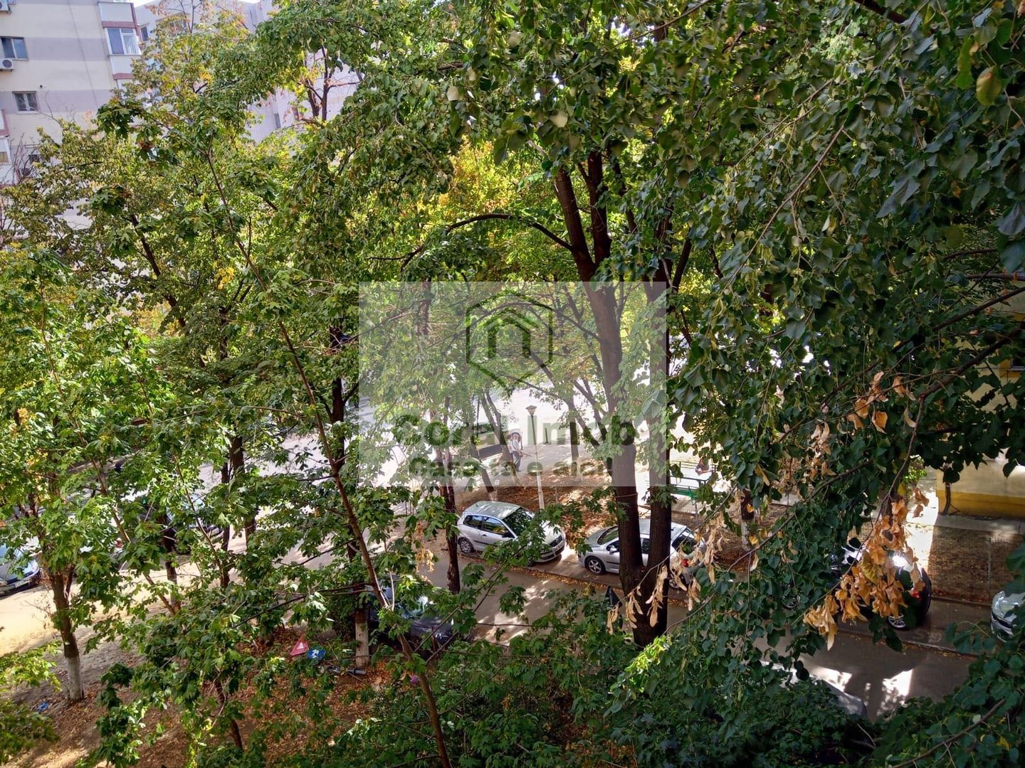 Vanzare  apartament cu 2 camere in Colentina Teiul Doamnei - Poză 6