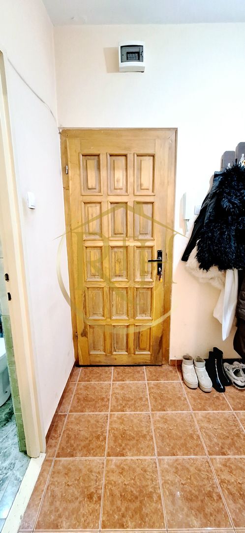 Oferim spre inchiriere apartament cu 1 camera, Complex Studentesc - Poză 19
