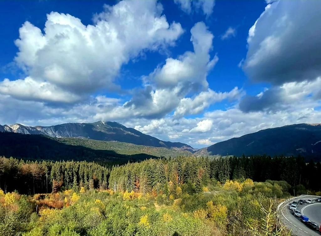 Aparthotel cu view superb Valea Prahovei - Poză 4