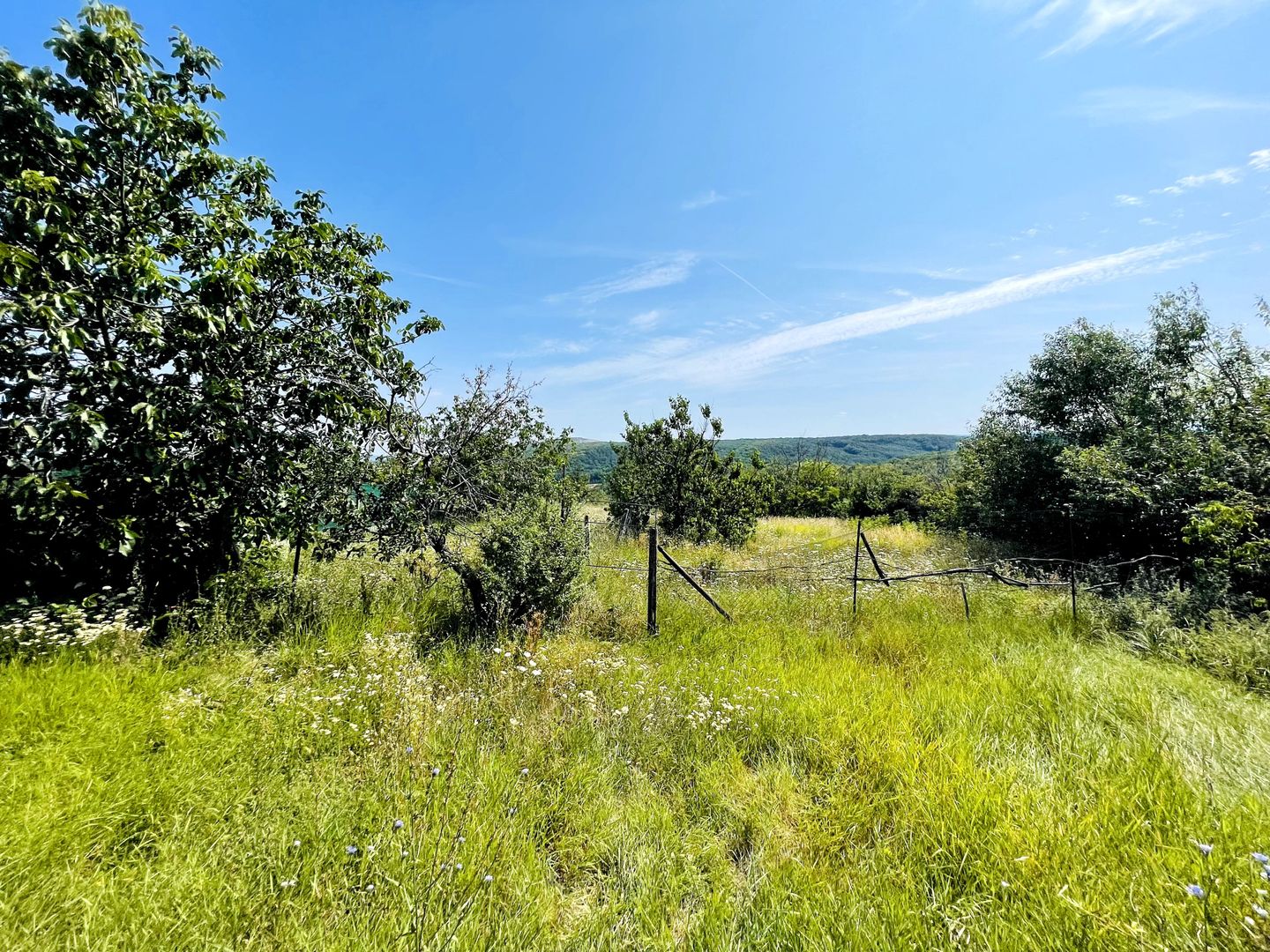 Casă + 2635 mp teren – oportunitate Cordǎu - Poză 5
