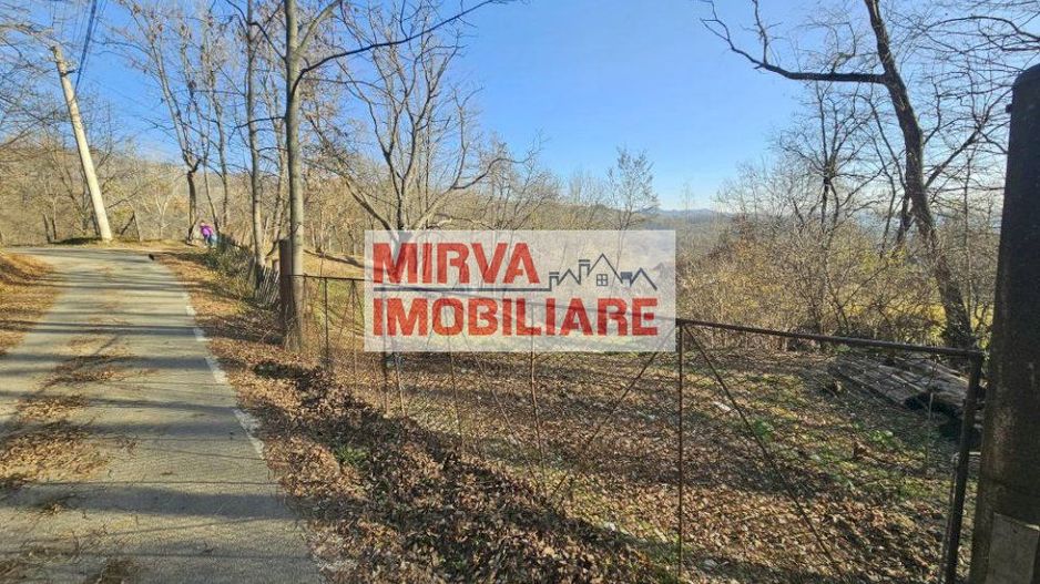 Vanzare casa plus anexa, teren 3843 mp, in Sat Pietriceaua - Poză 5