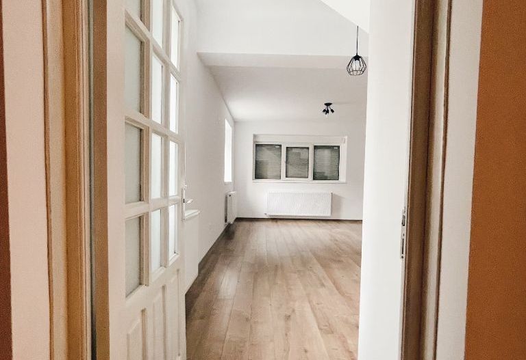 Vila cu terasa si curte de inchiriat (ideal firma), Parcul Carol - Unirii - Poză 14