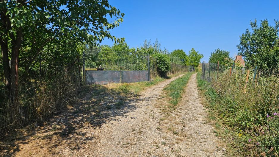 Teren 1.801 mp constructie casa individuala, Borhanci - Poză 7