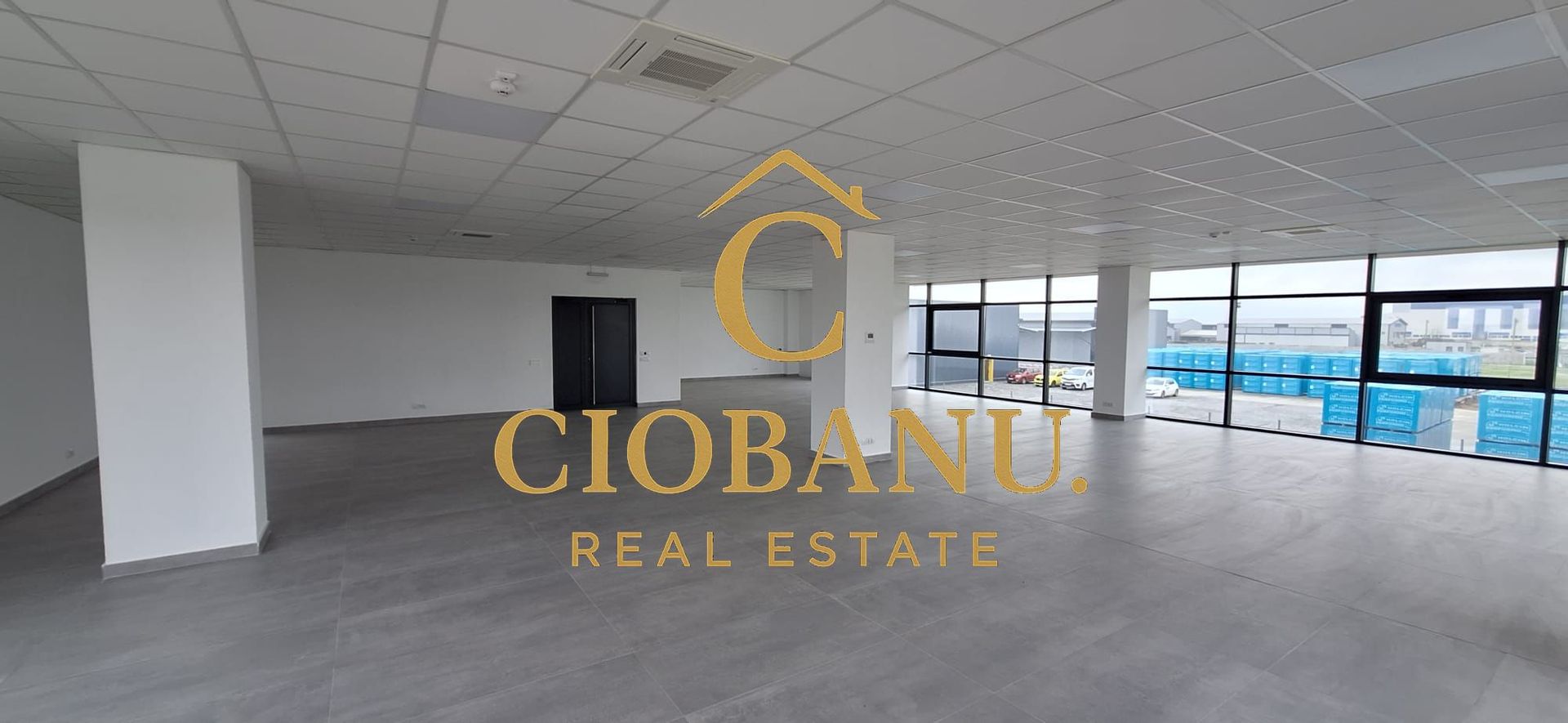 Hale industriale+Cladire de Birouri de inchiriat zona Aeroport - Poză 5