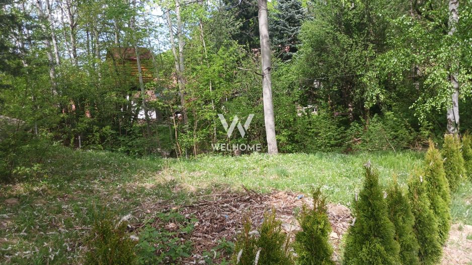 Teren pentru cabana, Marajdie deschidere la rau Gura Raului Sibiu - Poză 5