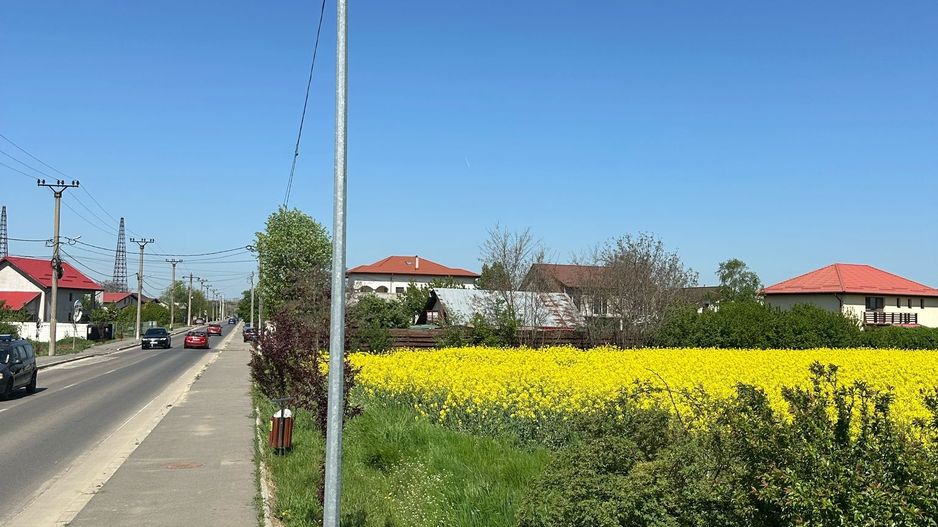 Teren intravilan 26.300 mp Saftica Balotesti-  PUZ în lucru - Poză 19