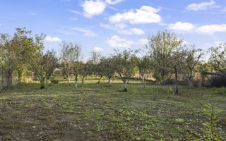 COMISION 0% | 2 Case cu Spatiu Comercial | Teren 1019mp | 540 eur/mp - Poză 38