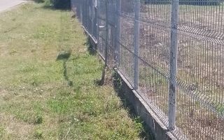 Teren intravilan 2500 mp cu deschidere de 35 m la strada principală, Dobrovăț - Poză 5