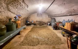 CASĂ DE VÂNZARE SIBIU TURNIȘOR, CURTE MARE, GARAJ, ACCES AUTO - Poză 21