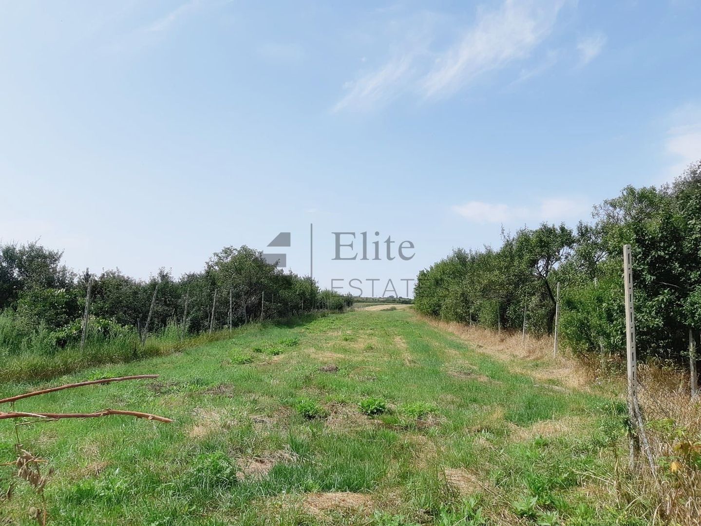 Hala de inchiriat 180 mp +spatii birouri la 20 de minute de Oradea - Poză 11