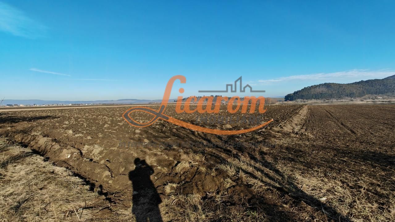 Teren intravilan Sanpetru vis a vis de Caminul Maria,utilitati. - Poză 3