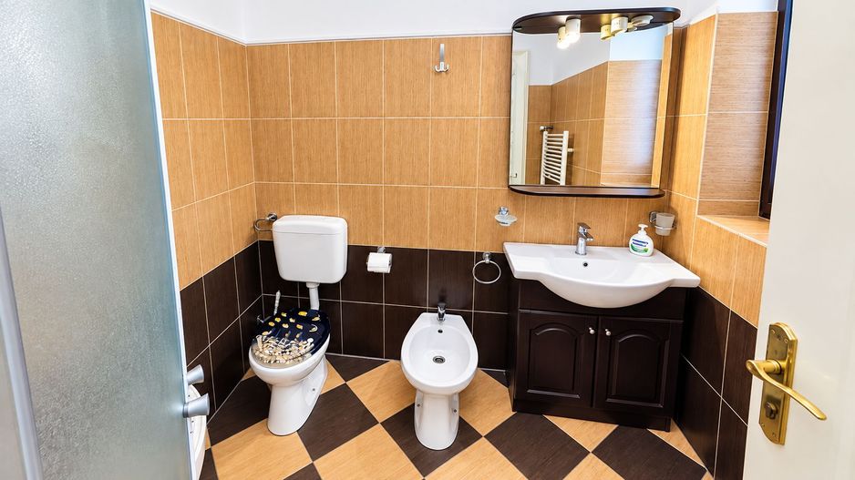 De vânzare/ închiriat Apartament istoric, 2 camere, Central Arad - Poză 19