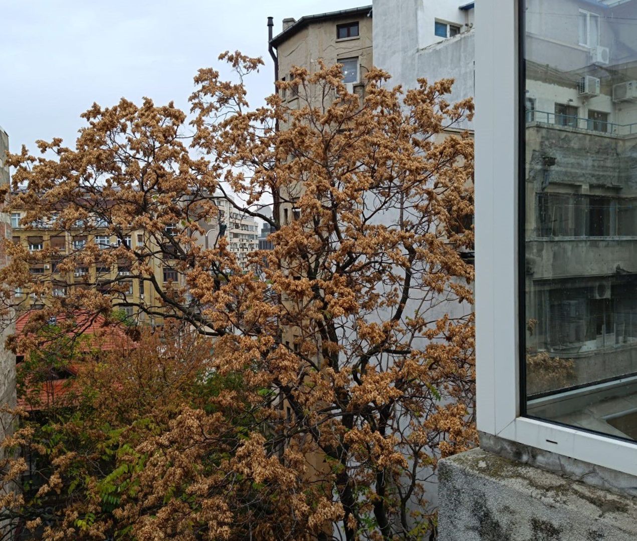 Inchiriem apartament complet renovat zona Universitatii - Poză 25