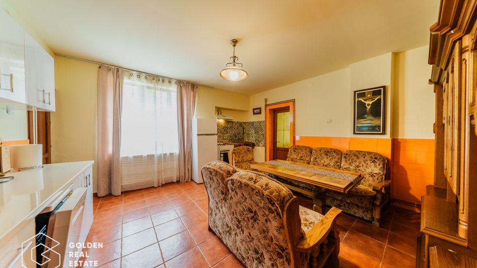 Afacere la cheie: Pensiune functionala sau casa de locuit, Ghioroc - Poză 37