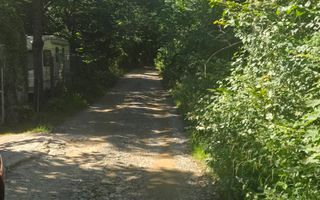 Teren Valea Doftanei,  zona Pe Vale - Baraj Paltinu - Poză 10