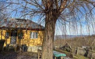 Casa de vanzare | Catunu, Drajna | 1360mp teren | Comision 0% - Poză 12