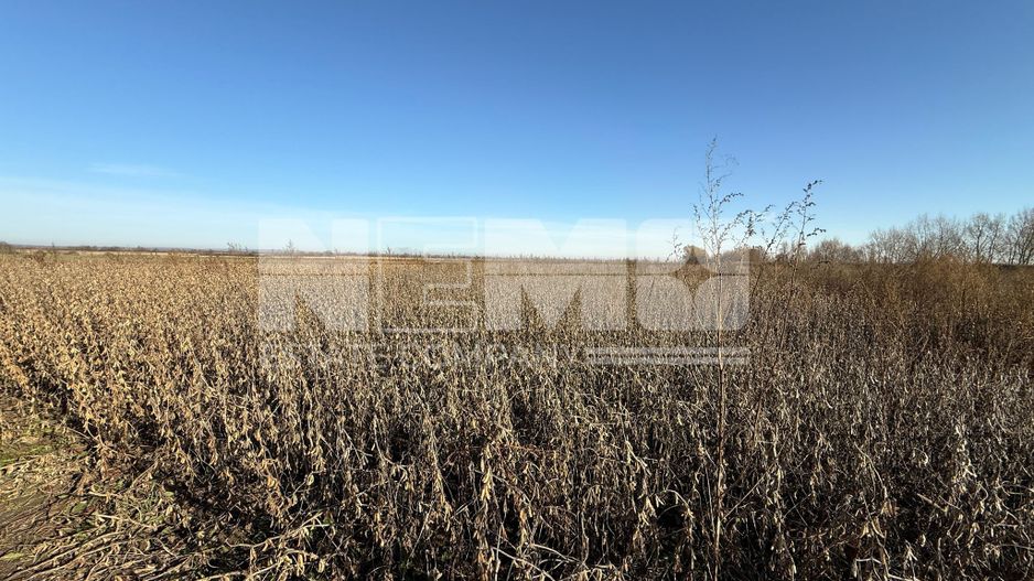 TEREN EXTRAVILAN | 35 ARI | HORODNIC DE JOS | - Poză 10