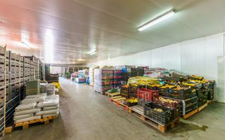 Hală frigo de vânzare în Săcălaz - Poză 7