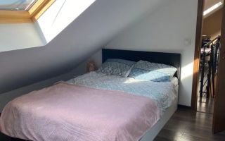 4 camere Open Space,  Zorilor, Spitalul de Recuperare, UMF, USAMV - Poză 2