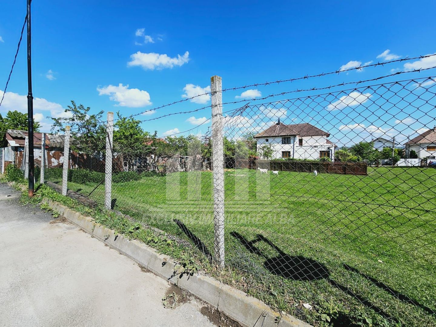Teren intravilan de vanzare, Cetate - Poză 2