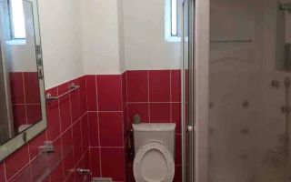 Apartament 1 Camera I Etaj 1 I Parcare I Alma-Turnisor - Poză 3