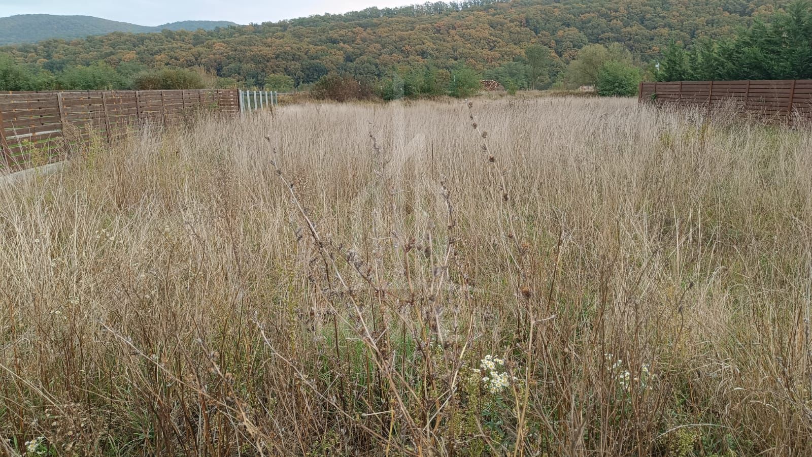 🏡 Teren de vânzare în Tălmaciu – zonă liniștită, cu priveliște spre munți - Poză 5