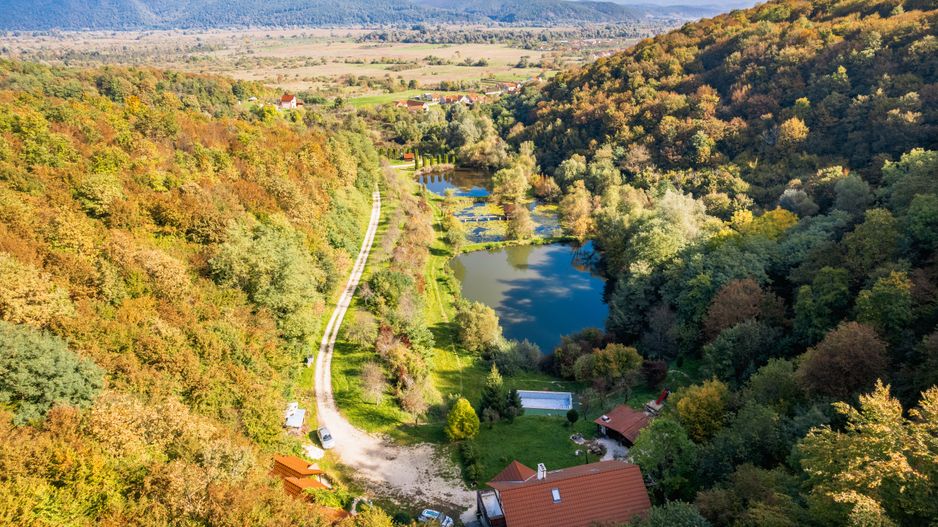 Domeniu în satul Căprioara - Poză 9