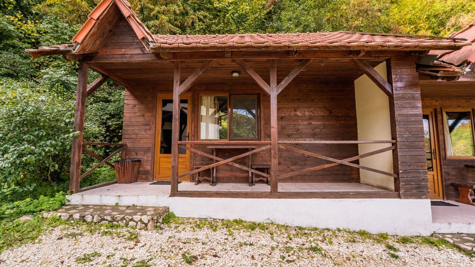 Domeniu în satul Căprioara - Poză 9