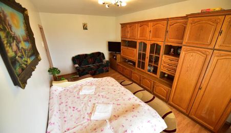 Apartament 2 camere I Decomandat I Vasile Aaron