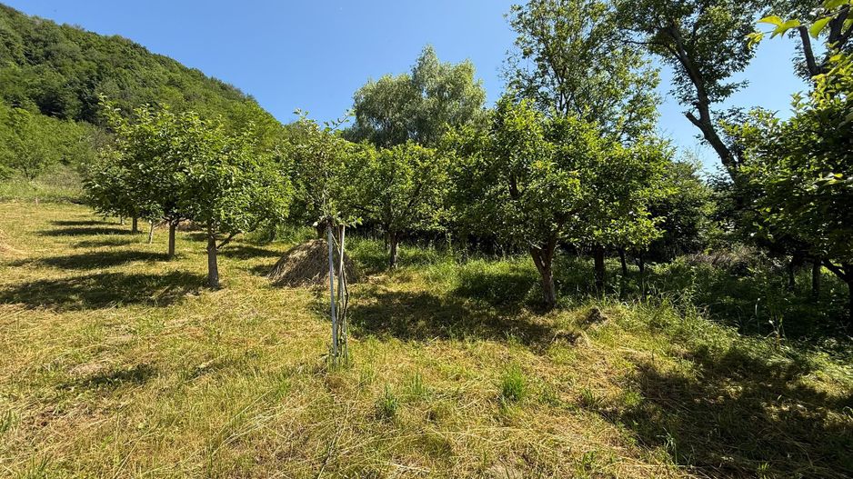 Vanzare casa cu 4 camere+anexe într-o zonă de poveste – Bezdead - Poză 19