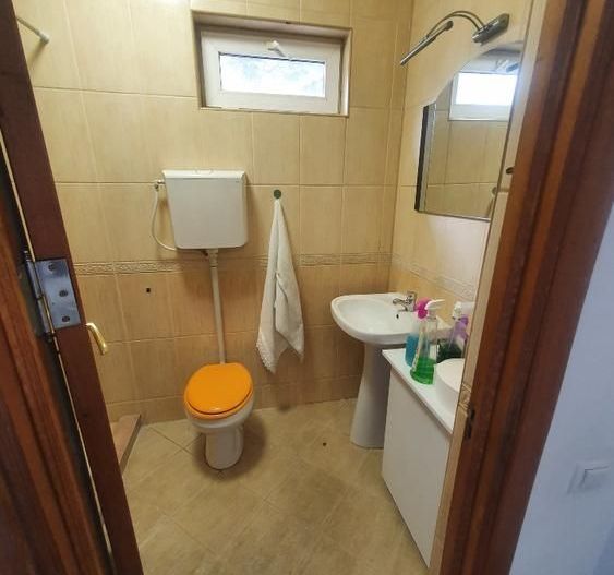 Vila Dacia/Institul Francez - Poză 11