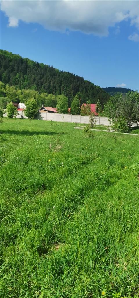Teren cu proiect casa, in vecinatatea padurii Bradet, Brasov - Poză 2