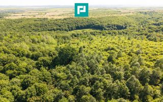 TEREN AGRICOL EXTRAVILAN  22.900 MP LIPOVA - Poză 15