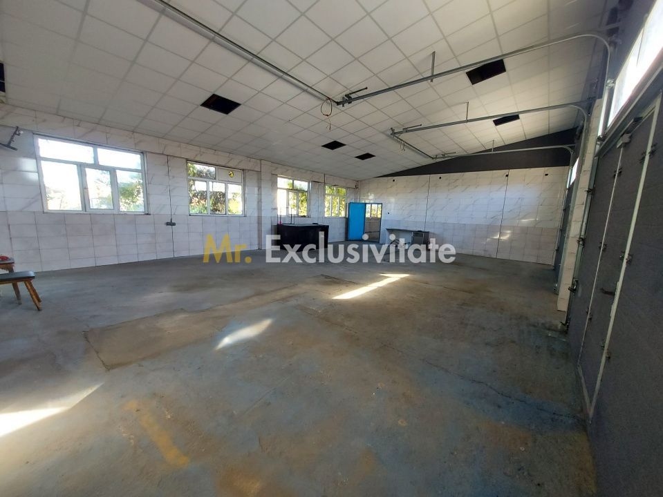 De închiriat: Hale si locuință pe 3 000 mp/ Bascov - Argeș - Poză 12