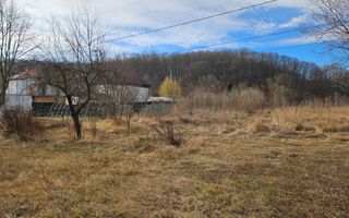 Vanzare teren Labusesti, langa padure - Poză 3