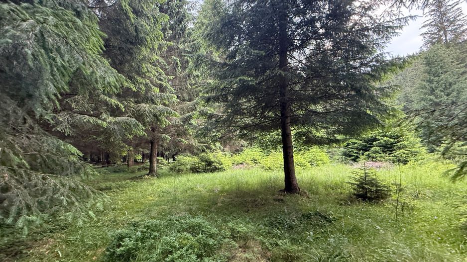 Teren intravilan de vânzare-COMANDAU /COVASNA-2500mp - Poză 1