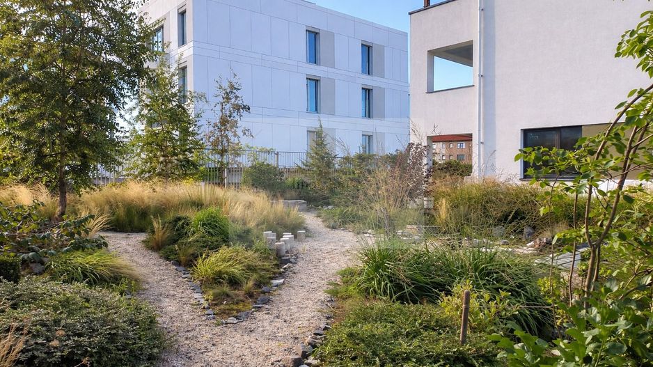 Inchiriere  3 camere| 2 bai cu geam | Parcare inclusă | Zona Europa - Poză 12