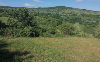 Teren de vânzare în Mogosesti, Budesti - Intabulat - Poză 3
