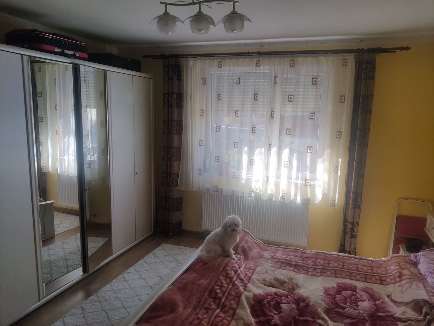 CASA CU TEREN 838 MP ZONA STEAUA - Poză 3