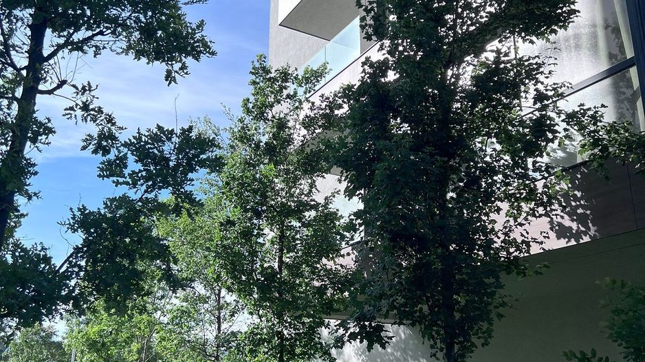 Apartament 3 camere Sectorul 1 - Lângă Lacul Străulești - Poză 20