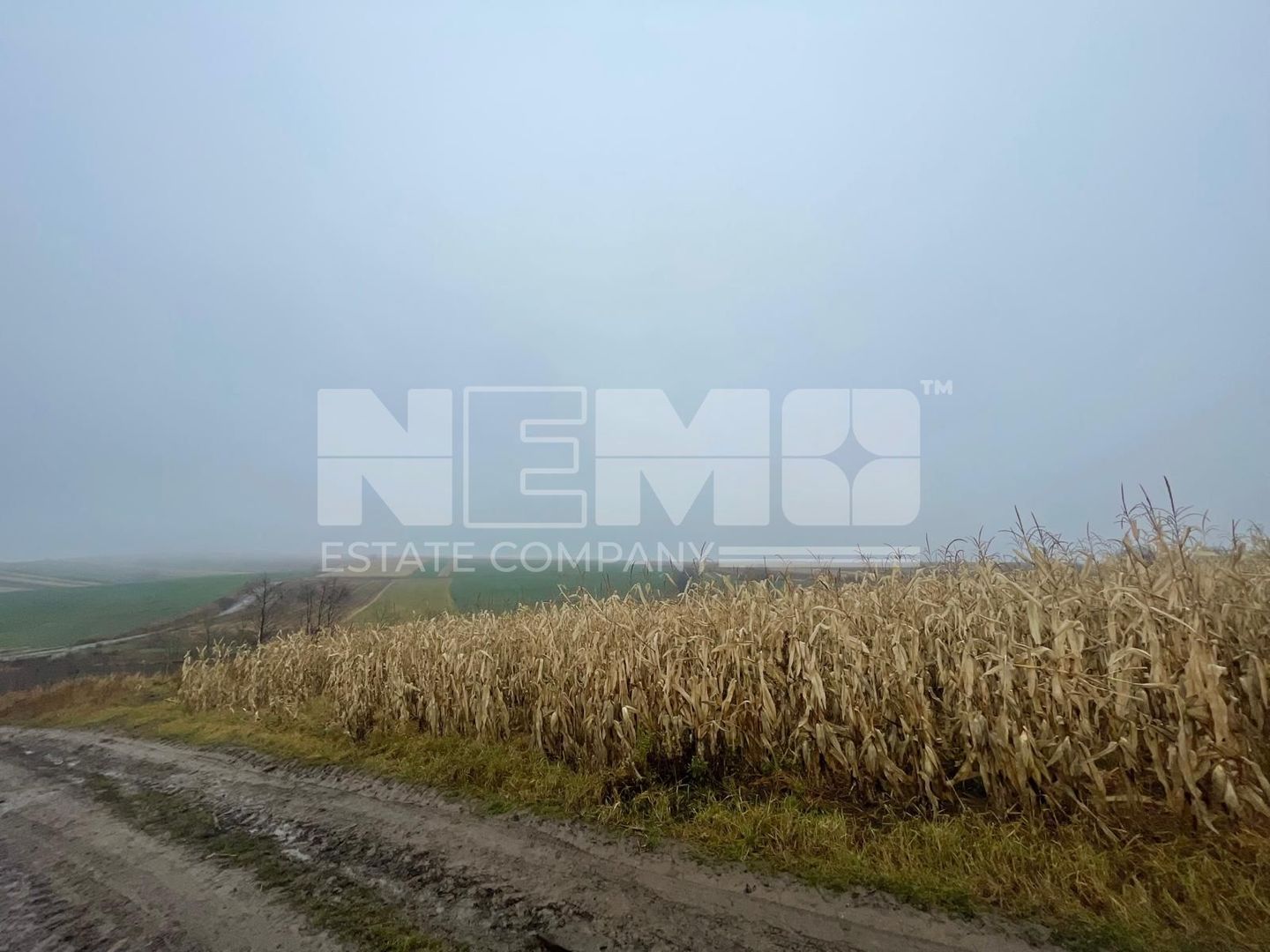 TEREN EXTRAVILAN | DOUA PARCELE 2.84 HA| IDEAL AGRICOL | DARMANESTI - Poză 17