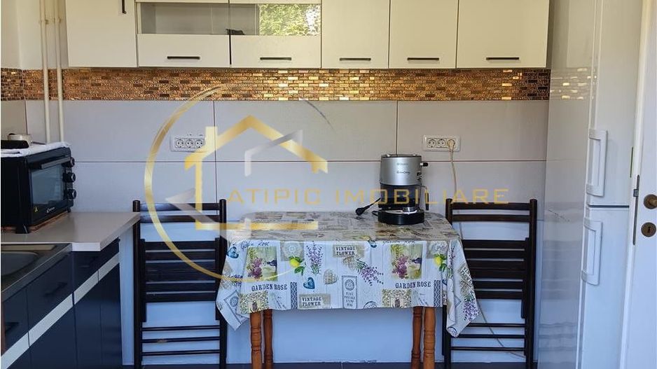 De vanzare vila individuala in Lunca Cetatuii Cartierul Tineretului - Poză 8