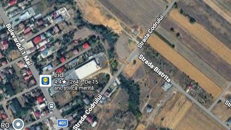 Teren intravilan 430 mp | Direct la asfalt | Str. Codrului, Berceni - Poză 3