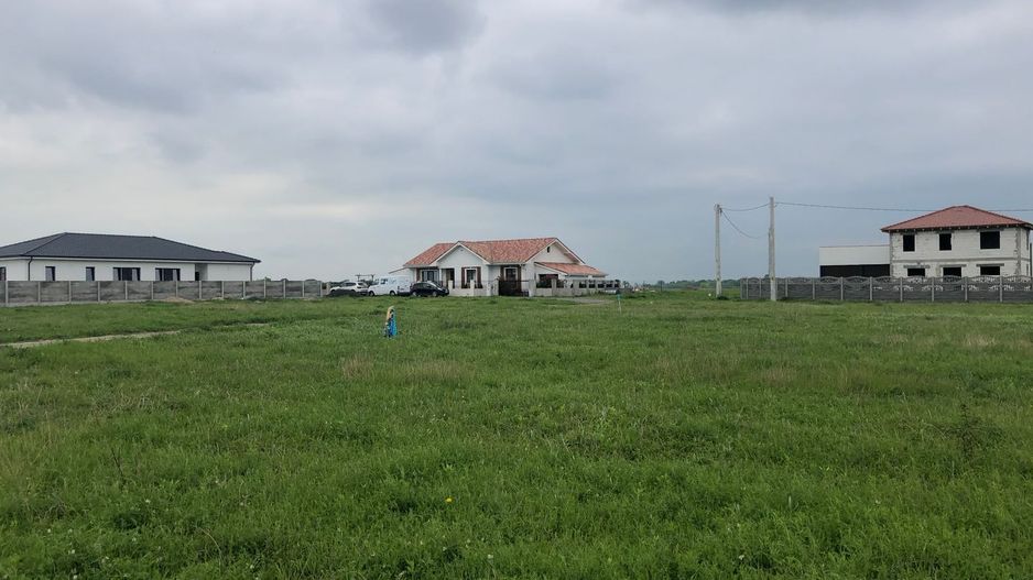 Teren Remetea Mare-720mp - Poză 3