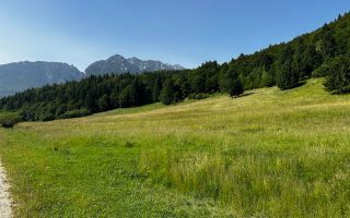 2 Loturi aprox.2200mp 25€/(total 6696mp) Barsa Fierului / Plaiul Foii - Poză 7