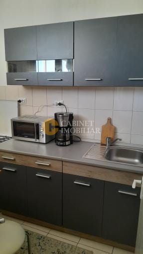 Apartament cu 1 camera Tatarasi- mobilat si utilat - Poză 3